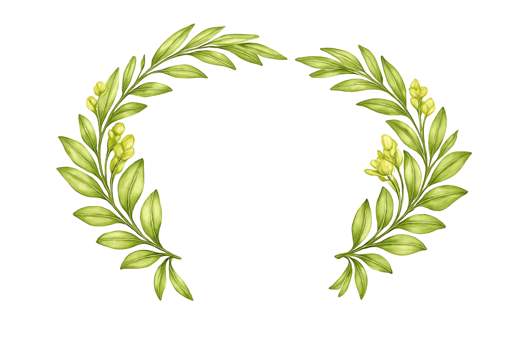 Willow & Vine Cleaning Co.